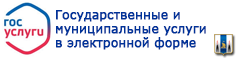 Гос. услуги в эл. виде