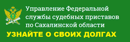 Узнайте о своих долгах